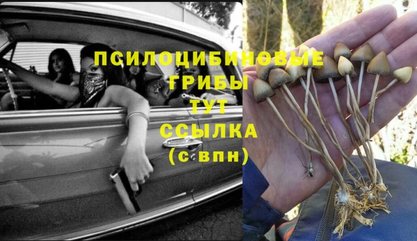соль курить ск Алексин